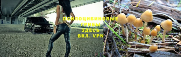apvp Переславль-Залесский
