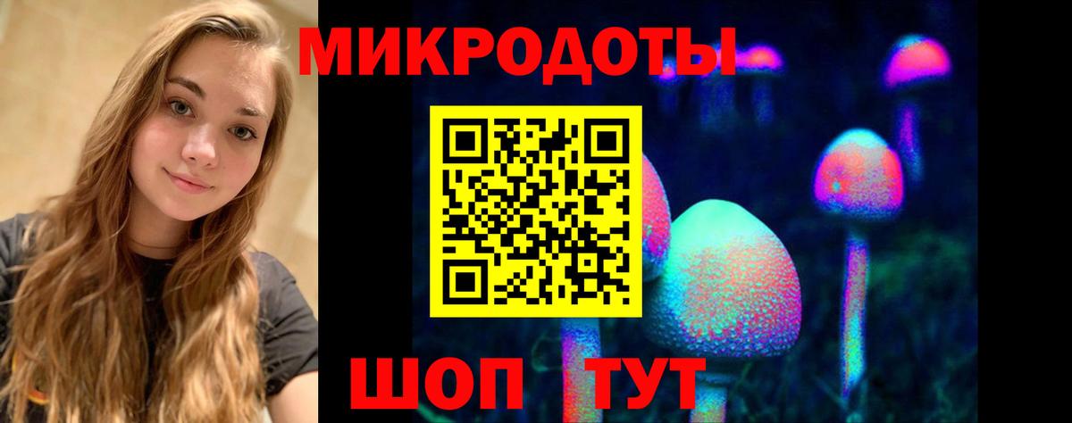 Псилоцибиновые грибы Psilocybe  Галлюциногенные грибы ЛСД  Курск  Вход с VPN 