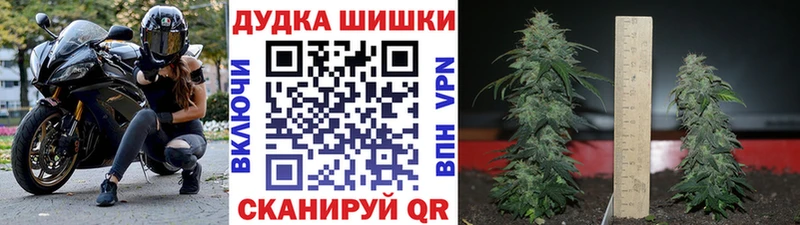что такое   Курск  МАРИХУАНА Amnesia 